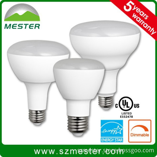 BR30 ENERGY STAR Certified Light Bulbs